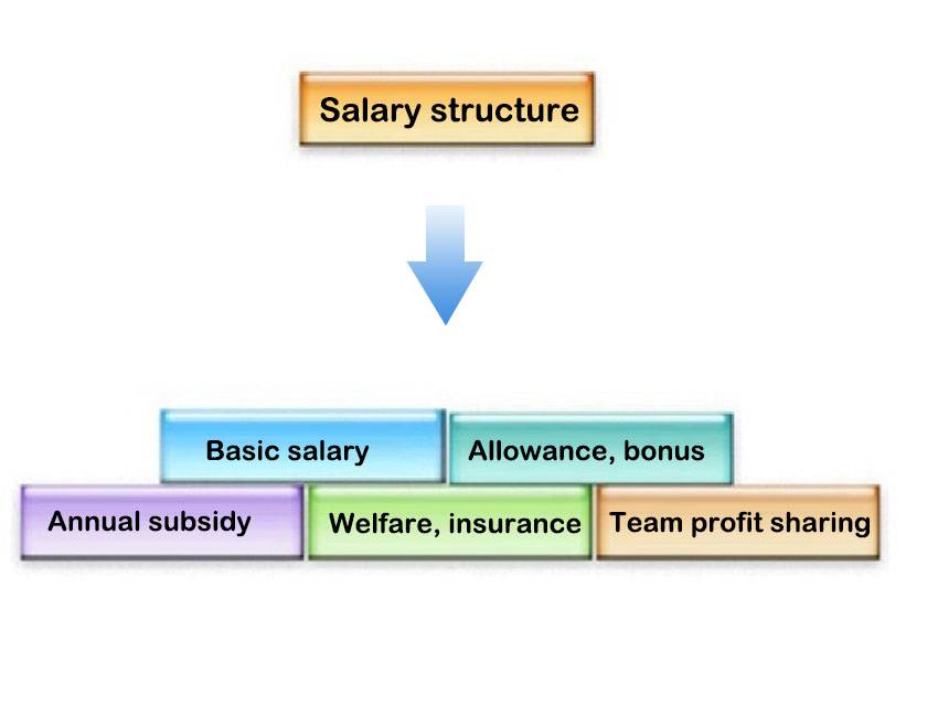 Frida Salary structure