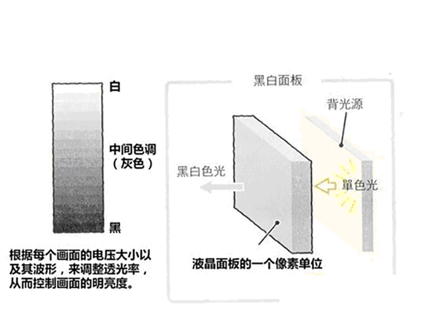 THE HISTORY OF LIQUID CRYSTAL